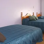 La Llave Del Campo Ciudad-Rodrigo